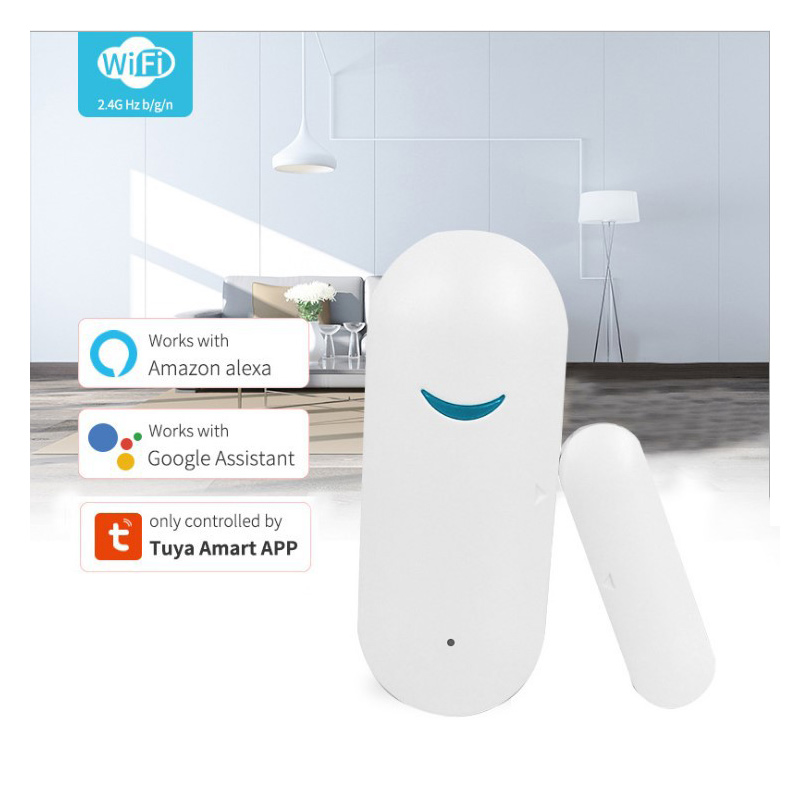 Finestra Garage Sensore wirele - Wireless Door Sensor recensione e prezzo