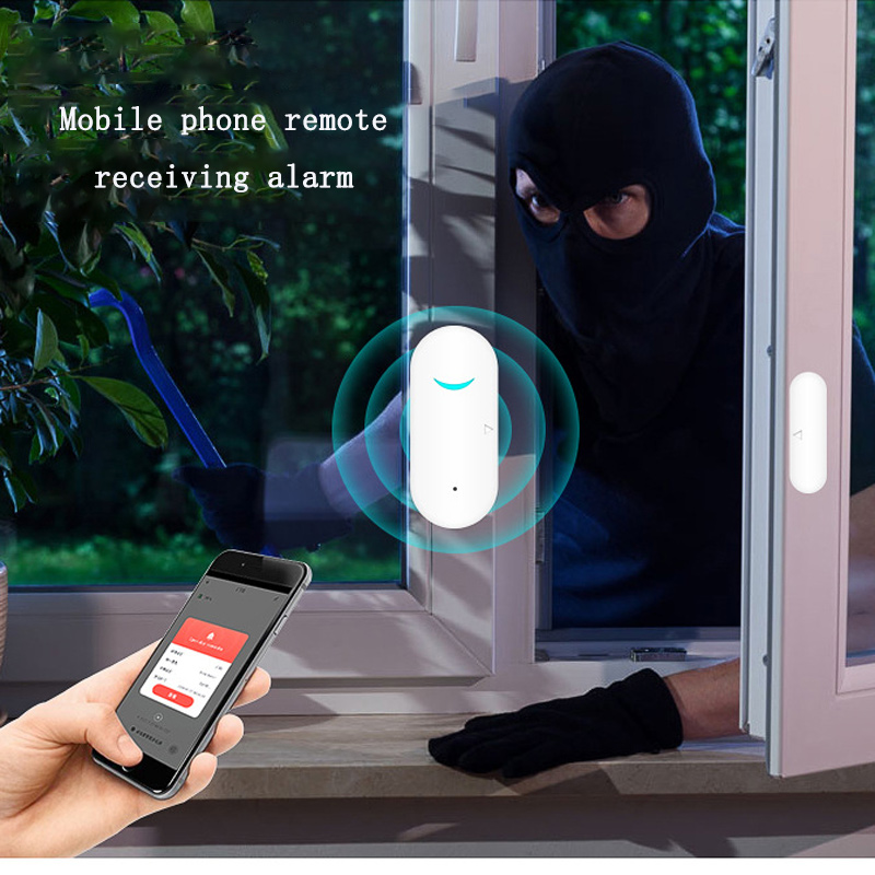 Finestra Garage Sensore wirele - Wireless Door Sensor recensione e prezzo
