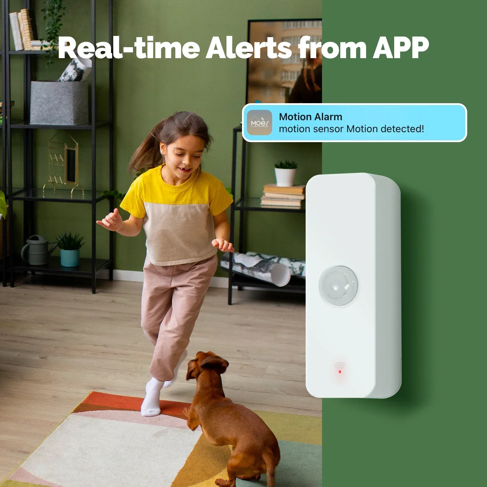 MOES Tuya WiFi/ZigBee Sensore  - Smart Home Moes recensione e prezzo