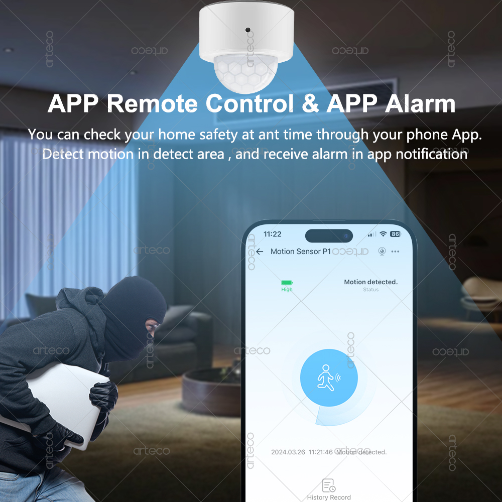 Ewelink Zigbee PIR Sensore di  - Zigbee Motion Sensor recensione e prezzo