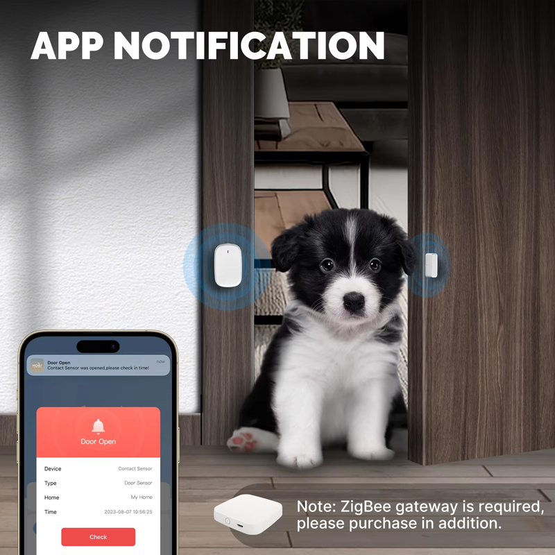 Sensore per Porte e Finestre M - Smart Home Moes recensione e prezzo