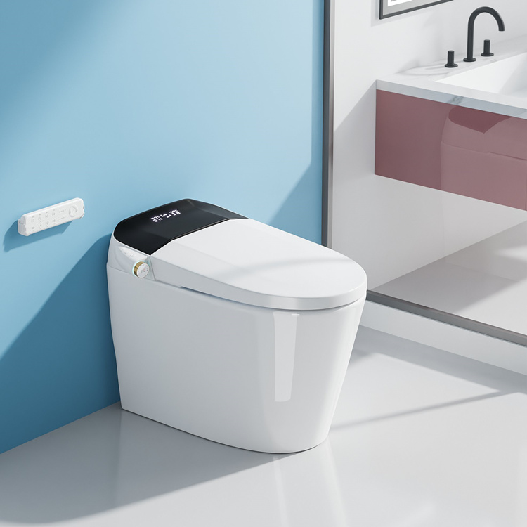 WC Intelligente con Sensore di - Smart Home Decor recensione e prezzo