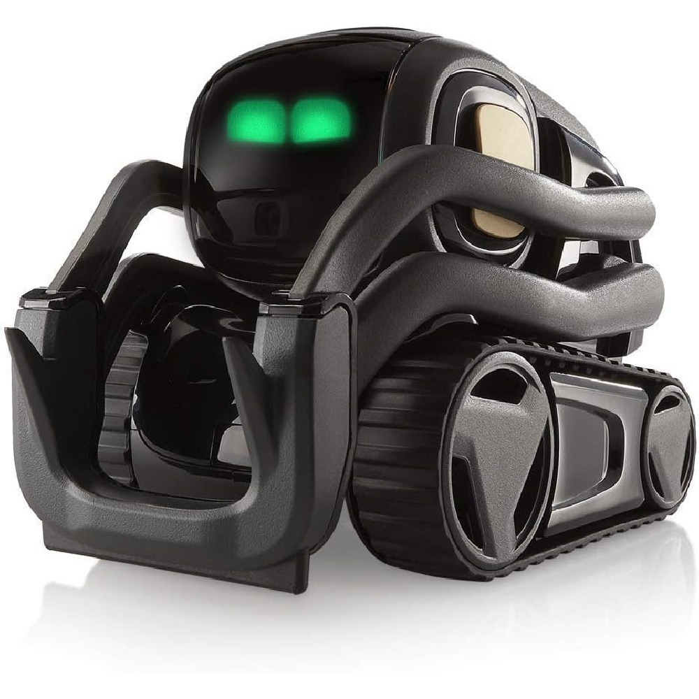 Robot Compagno Intelligente AI - Smart Home Ai recensione e prezzo