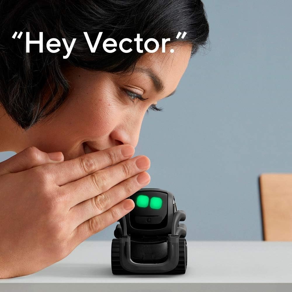 Robot Compagno Intelligente AI - Smart Home Ai recensione e prezzo